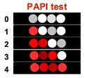 PAPI Test
